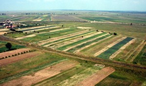 terenuri agricole