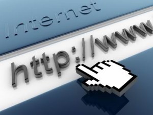 net 1