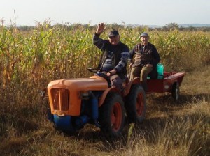 fermieri