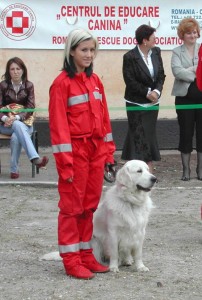 caini de salvare