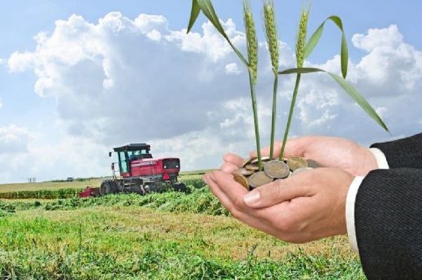 agricultura 1