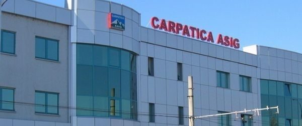 carpatica