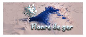 Floare de ger