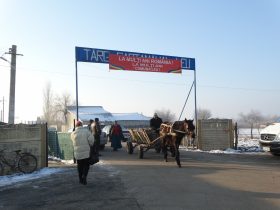 targ 5