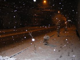 zăpada