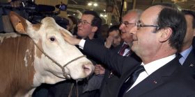 Le-Salon-de-l-Agriculture-s-annonce-tendu-pour-Francois-Hollande