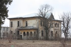 ghindeni (4)