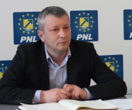 pnl dragnei