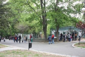 parc (3)