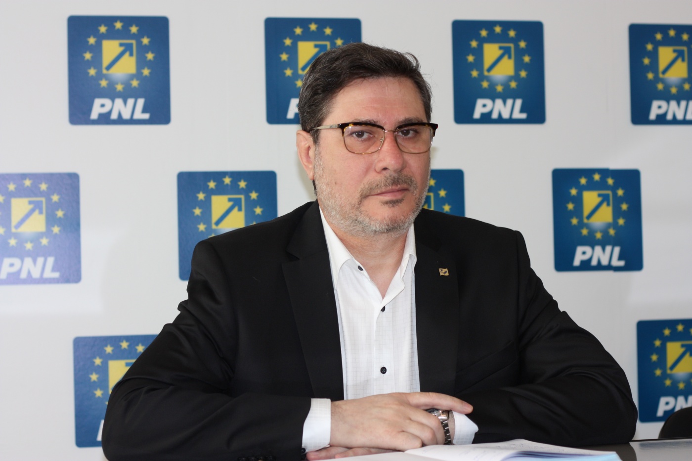 pnl mario oprea