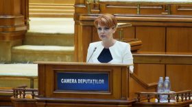 Lia-Olguta-Vasilescu