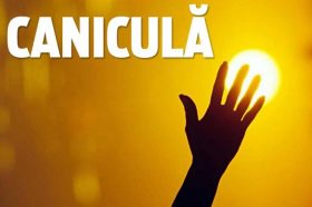 canicula2