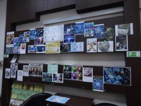 expozitie (1)