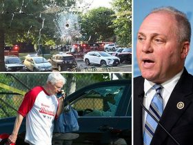 steve-scalise-baseball-shooting