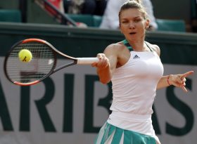 halep 1