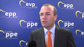 manfred weber 1